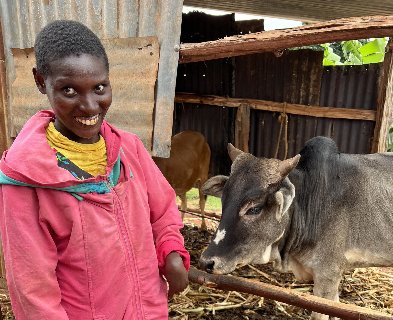 School-leaver with home based cow rearing enterprise